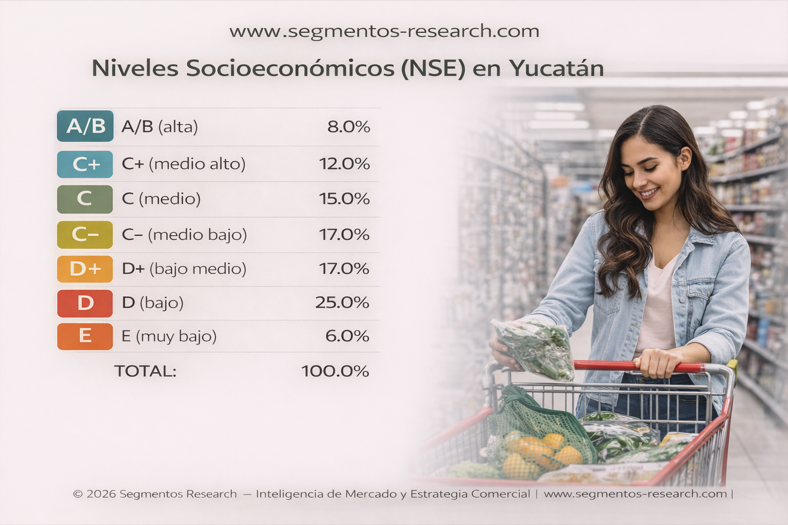 Segmentos Research - 